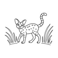 A Savannah cat playing with a feather toy on the floor vector