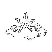 A starfish lying on wet sand near a shell vector