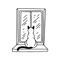 A Siamese cat sitting on a windowsill watching the street vector