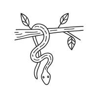 A snake hanging from a tree branch vector