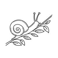 A snail resting on a leafy stem vector