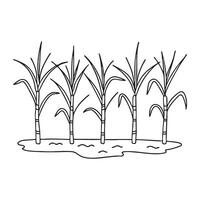 A row of tall sugarcane plants growing in a muddy field vector
