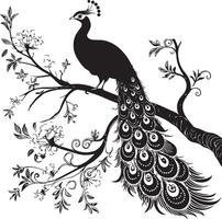 Peacock Silhouette - Majestic Bird with Elaborate Tail Display on White Background vector