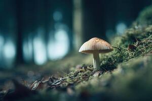 Mushroom with a tan cap and white stem grows on moss-covered ground, surrounded by forest blur. Focus on mushroom, creating a serene, enchanting atmosphere in nature's quietness photo