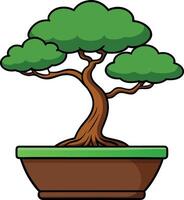 Bonsai tree, a miniature tree carefully cultivated in a container vector