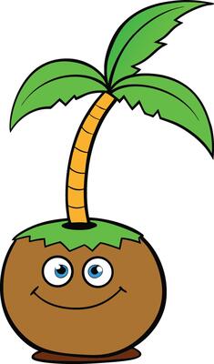 Coconut palm, embodying the cheerful essence of a tropical paradise and simple pleasures.