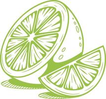 Cut lime and a wedge vector