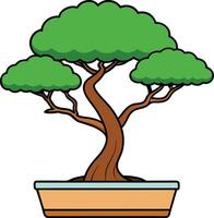 Bonsai tree, showcasing its meticulously shaped branches and lush green foliage in a classic rectangular pot. vector