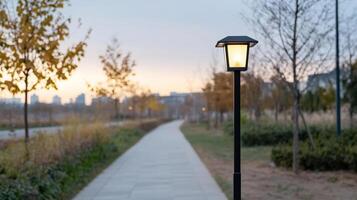 A street lamp is on a pathway in a park photo