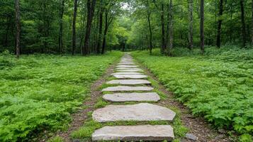 A stone path in the woods with green grass and trees photo