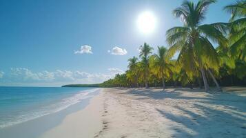 A sandy beach with palm trees and the sun shining photo
