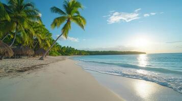 Tropical beach with palm trees and sun on the horizon photo
