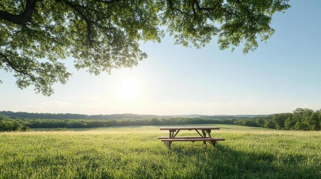 A picnic table in a field photo