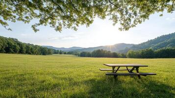 A picnic table in a field with trees and mountains in the background photo