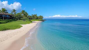 A beach with palm trees and a house on the shore photo