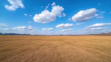 An empty field with a blue sky and clouds photo