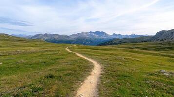 A dirt path in the mountains with grass and flowers photo