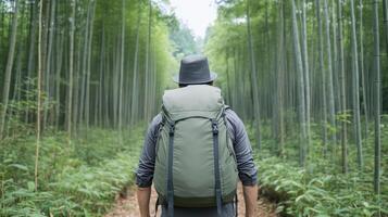 A man with a backpack walking through a bamboo forest photo