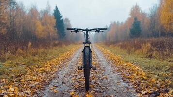 A bicycle is parked on a road in the middle of an autumn forest photo