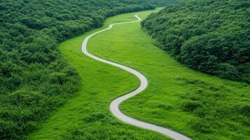 Winding trail through lush green landscape evokes sense of tranquility and adventure photo