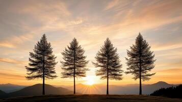 Majestic pine trees silhouetted against vibrant sunset, creating serene atmosphere photo