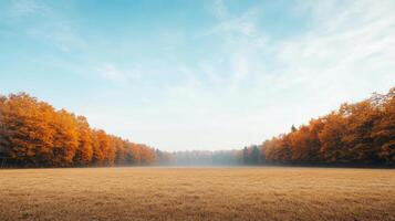 Autumn landscape with trees and grass in the foreground photo