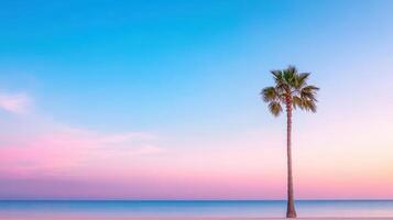 Solitary palm tree silhouetted against pastel sky at sunset creates serene atmosphere photo
