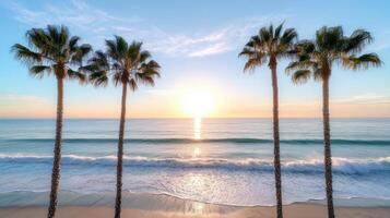 Sunset glow radiating through beach palms, soft ocean waves create serene atmosphere photo
