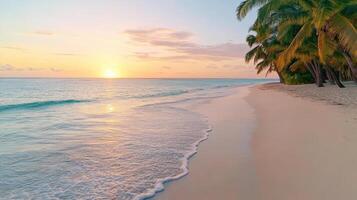 Sunset over tropical shoreline with gentle waves and palm trees, creating serene atmosphere photo