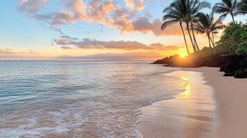 Serene beach sunset with vibrant colors reflecting on calm water and palm trees photo