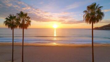 Sunset over beach with palm trees, creating serene atmosphere and beautiful reflections photo