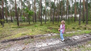 Young girl walking in a pine forest video