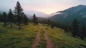 un suciedad camino Guías mediante el montañas a puesta de sol foto