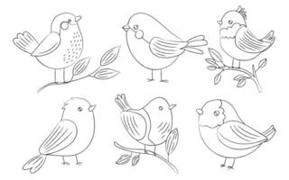Cute outline birds with charming details perched on branches, perfect for nature, wildlife, spring art, sketching, and hand-drawn coloring pages vector