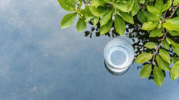 A plastic cup is floating in a pond photo