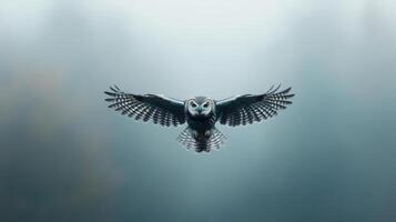 An owl flying in the air with fog in the background photo