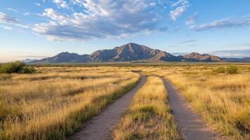 un suciedad la carretera en el Desierto con montañas en el antecedentes foto