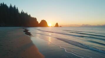 A beach at sunset with trees and water photo
