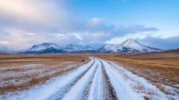 un suciedad la carretera carreras mediante un Nevado campo con montañas en el antecedentes foto