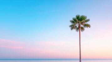 A palm tree stands alone on the beach at sunset photo