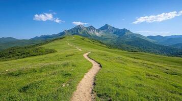 A path in the mountains with a blue sky and green grass photo