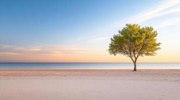 A lone tree on a sandy beach at sunset photo