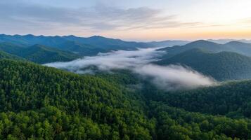 Aerial view of forest and mountains at sunrise photo