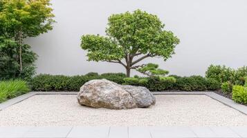 A small rock garden with a tree in the middle photo