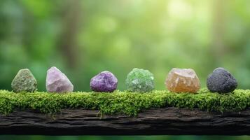 Five different colored stones on a mossy log photo