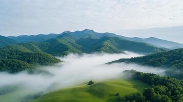 A green valley with trees and fog in the mountains photo