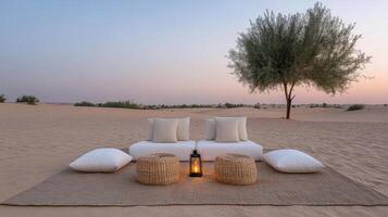 A rug and two pillows on the sand in the desert photo