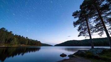 A lake with trees and stars in the sky photo