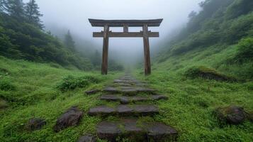 A tori gate in the middle of a foggy forest photo