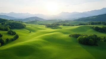 Green hills and trees in the mountains photo
